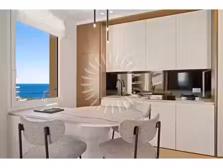vente appartement 2 pièces 50 m² à monaco (98000)  3 400 000 €