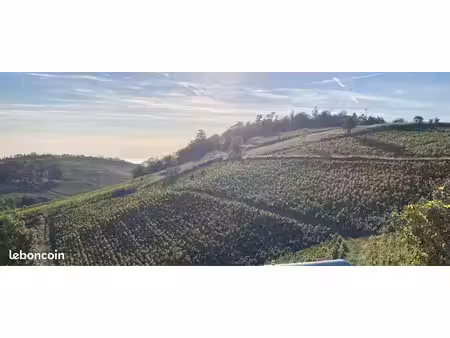 vignes aop fleurie - 1 35 ha - lieu dit montgenas - beaujolais