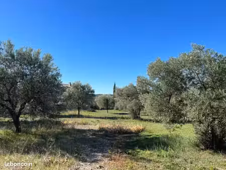 terrain 1 200 m² fox amphoux