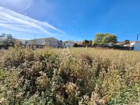 vente terrain à la tranche-sur-mer (85360) : à vendre / 329m² la tranche-sur-mer