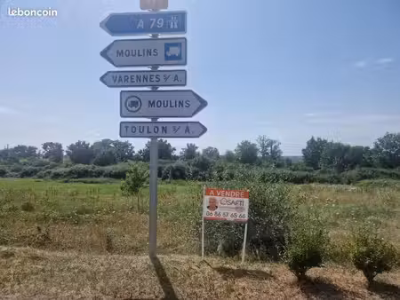 terrain 13324 m² toulon-sur-allier