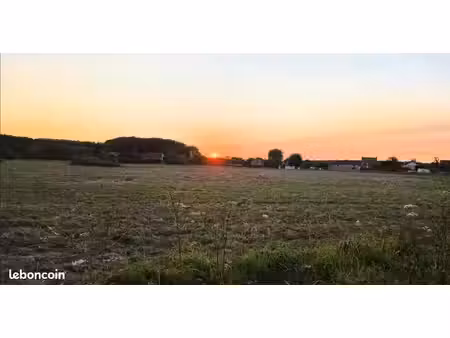 terrain 980m2