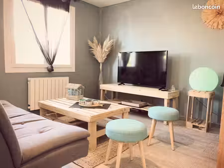 joli meublé de 40m2 disponible de nov à mars