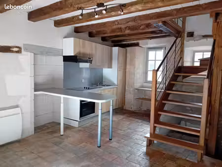 appartement/maison la roche-posay