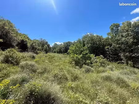 terrain 1 336 m² saint montan