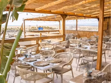 restaurant saisonnier – emplacement n°1 littoral aude – forte rentabilité