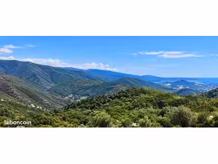 terrain à albitreccia – environ 5 000 m²
