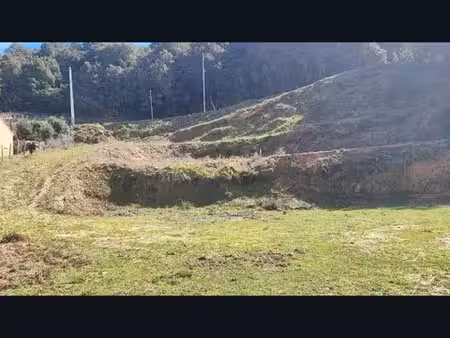 terrain 2000 m2 olivese