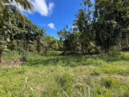 terrain 1 334 m² sainte rose