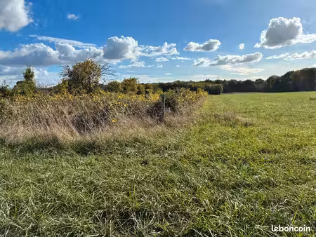 terrain agricole