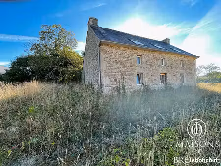 longère 3 pièces 129 m²