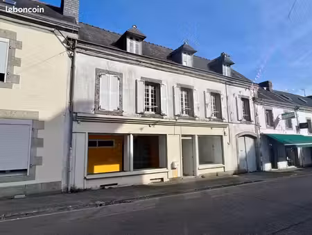 immeuble de rapport 9 pièces 165 m²