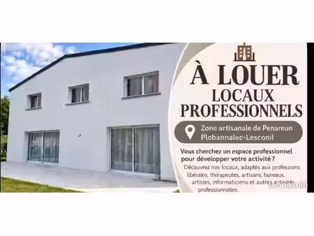locaux et bureau professionnels