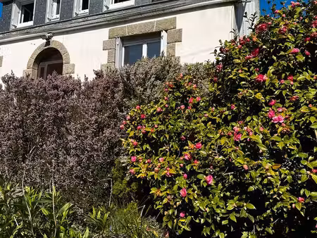 belle maison avec vue mer dans un cadre naturel