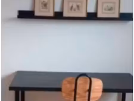 grande chambre claire meublée