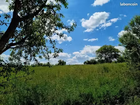 terrain 425 m² montagnac