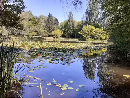 etang 1 hectare cluis (indre)