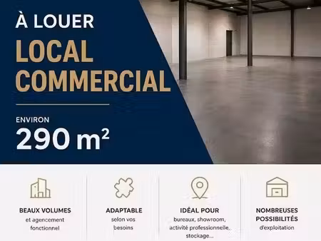 local 290 m² hagetmau