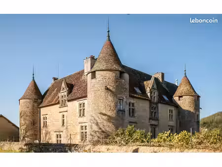 château 15 pièces 800 m²