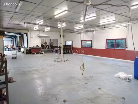 local d'activité 560 m²