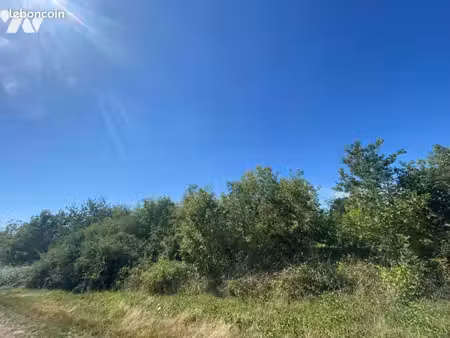 terrain 18718 m² maisdon sur sevre
