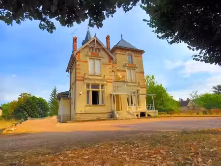 vente château 0 pièces 250 m² à challuy (58000)  498 200 €
