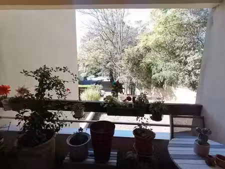 vente appartement 2 pièces 45.27 m² à saint-georges-de-didonne (17110)  221 900 €