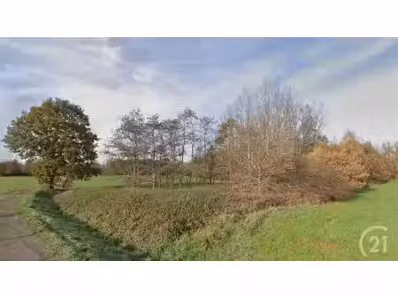 grond te koop in begijnendijk
