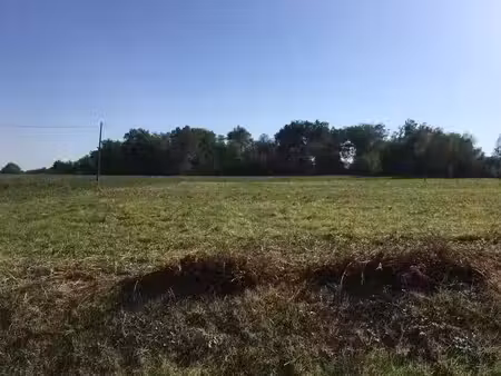 vente terrain 1100 m² à beaufort (31370)  76 000 €