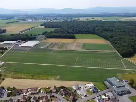 vente terrain 689 m² à bindernheim (67600)  117 130 €