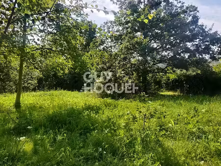 vente terrain 1566 m² à le val-saint-germain (91530)  199 000 €