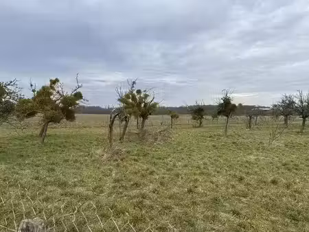 vente terrain 464 m² à bû (28410)  95 900 €