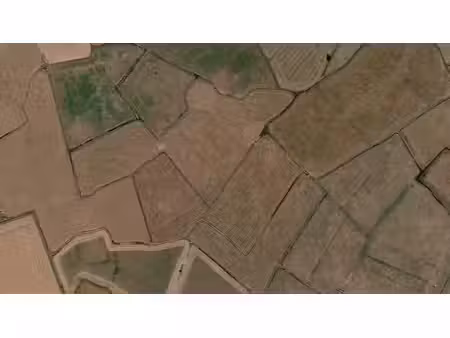 grond