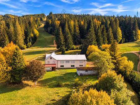 vente maison 40 pièces  329.07m²  le bonhomme