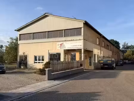 vente locaux professionnels 4 pièces 709 m² à gumbrechtshoffen (67110)  490 000 €