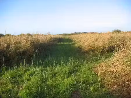 vente propriété à arras (62000)  800 000 €