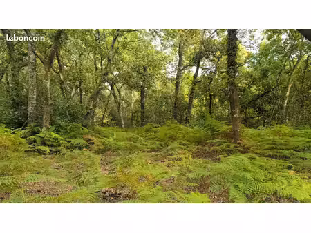 terrain loisir