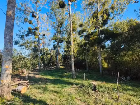 terrain de 970 m² au bord du loir — idéal famille  kayak & pêche