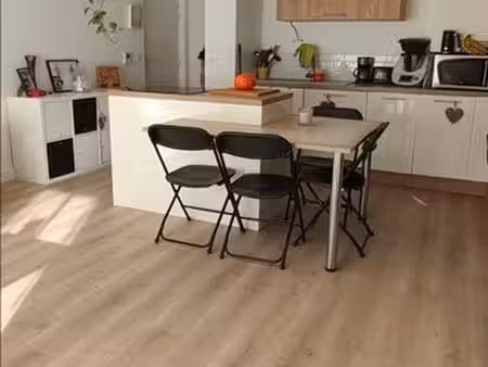 appartement 75m2 avec deux terrasses et deux jardins mions