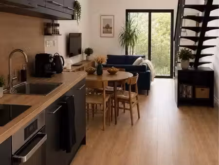 duplex meublé de charme – esprit loft – 65 m² – terrasse privative –