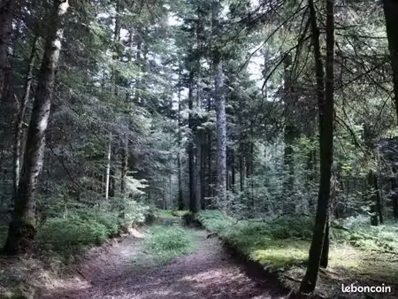 recherche terrain boisée ou autre