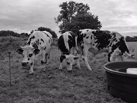 recherche terrain agricole