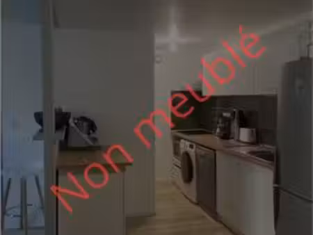 magnifique t2 + mezzanine de 63m²