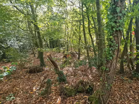 terrain agricole boisées