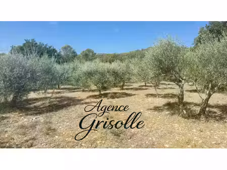besse-sur-issole – magnifique terrain plat de 3 600 m² avec oliviers