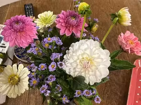 recherche terrain pour projet floriculture