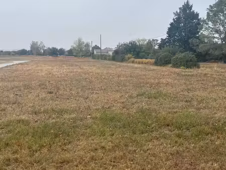 terrain 2000m2