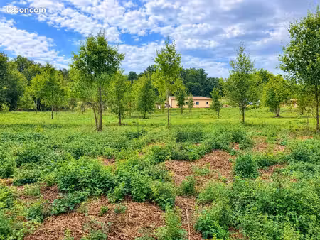 terrain 5 771 m² larzac