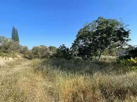 terrain constructible 1 230 m² – valensole – viabilisé – oliveraie