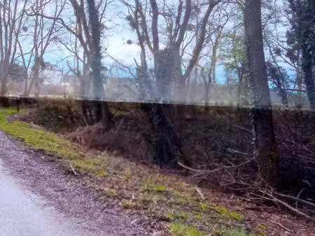 terrain non constructible hors village de 254m2 à commissey 89430 tanlay